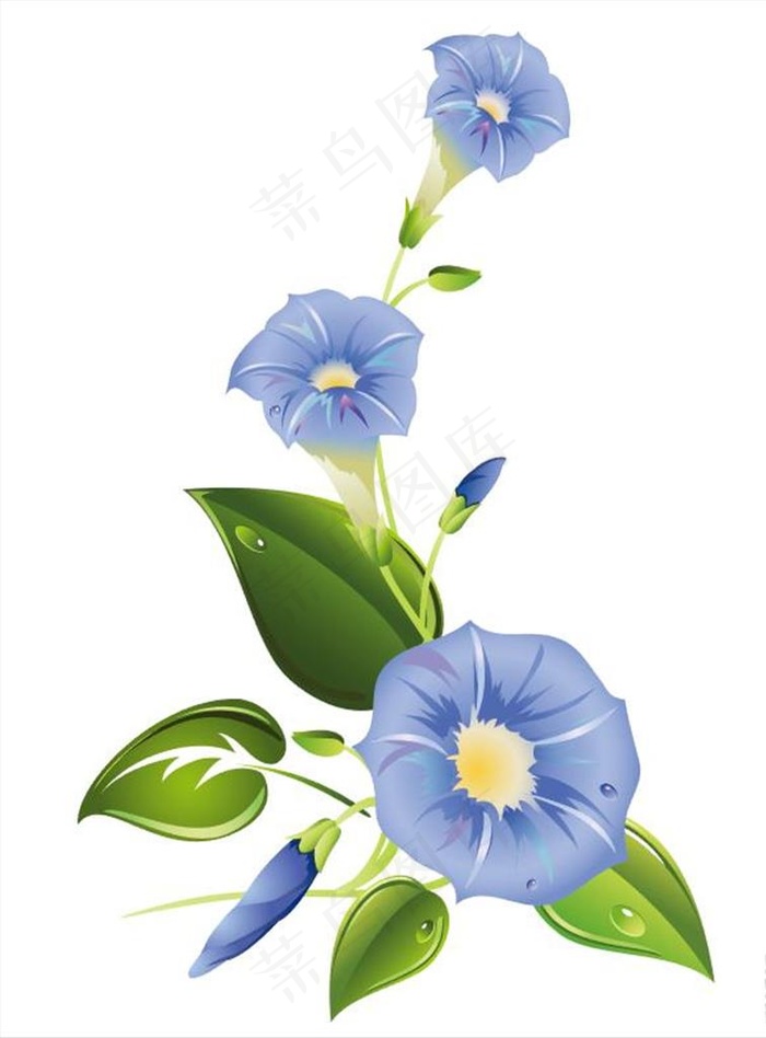 牵牛花图片ai矢量模版下载