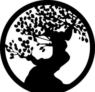 植物系列 盆栽图片