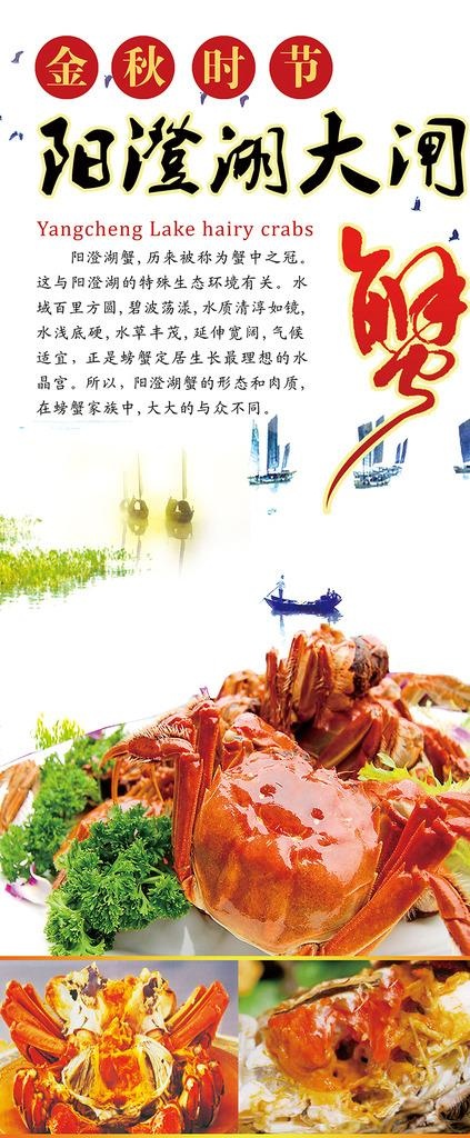 阳澄湖大闸蟹展架图片(2268X5102(DPI:72))psd模版下载