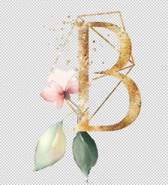 字母B图片