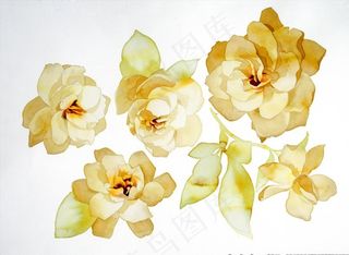 黄色水彩花卉图片