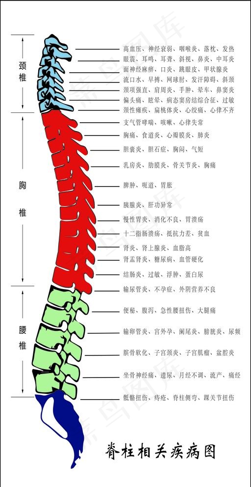 脊柱相关疾病图图片cdr矢量模版下载