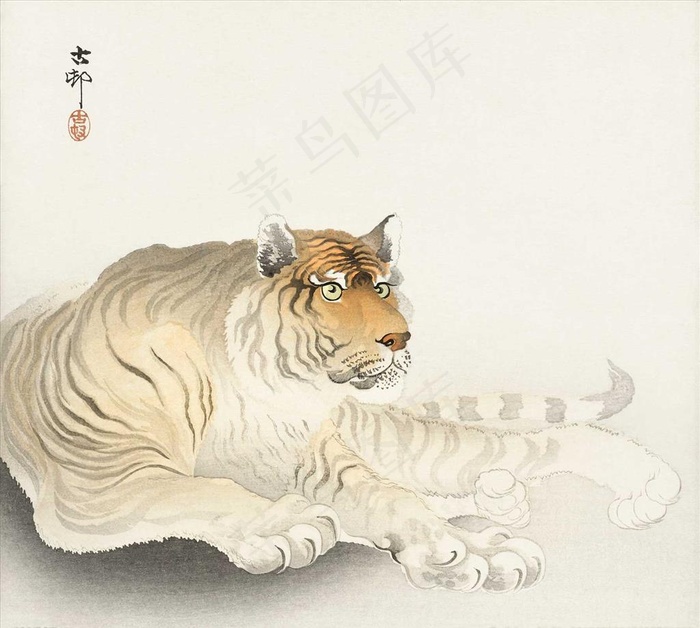 老虎图片