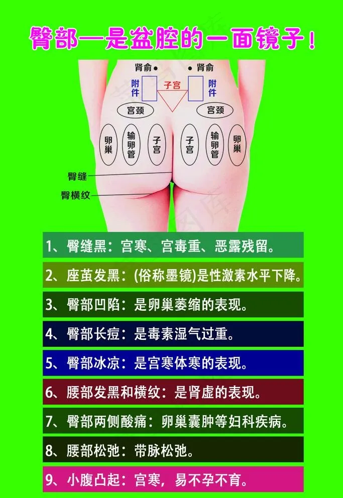 臀部护理是盆腔的镜子图片psd模版下载