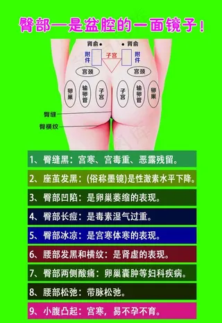 臀部护理是盆腔的镜子图片