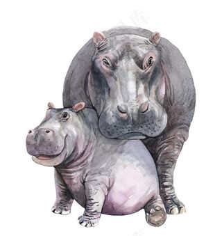 水彩动物图片