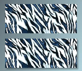 斑马纹图片