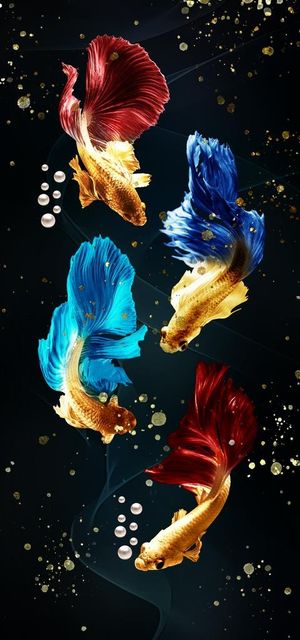 现代简约装饰图片