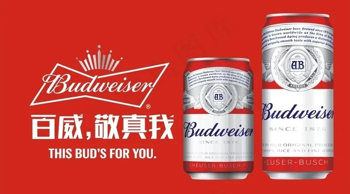 百威啤酒图片(210X297)cdr矢量模版下载