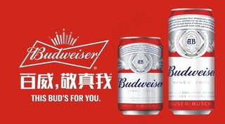 百威啤酒图片