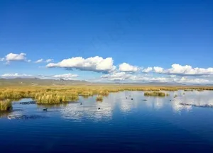 川西花湖图片