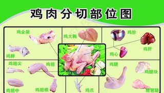 鸡肉分切部位图图片