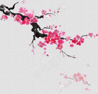 中国风水墨梅图片