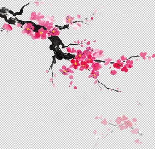 中国风水墨梅图片