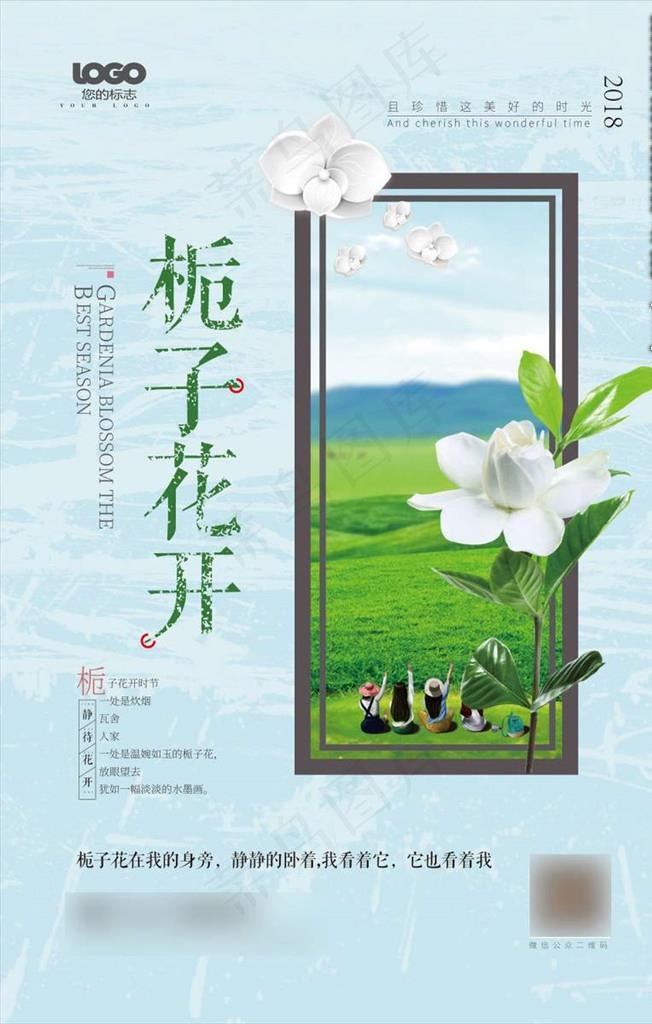 栀子花图片ai矢量模版下载
