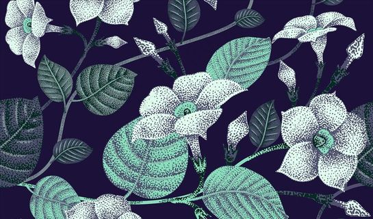 树叶 绿叶背景墙图片