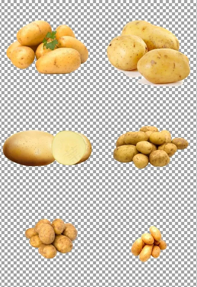 新鲜出土大土豆图片