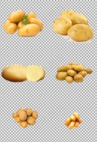 新鲜出土大土豆图片