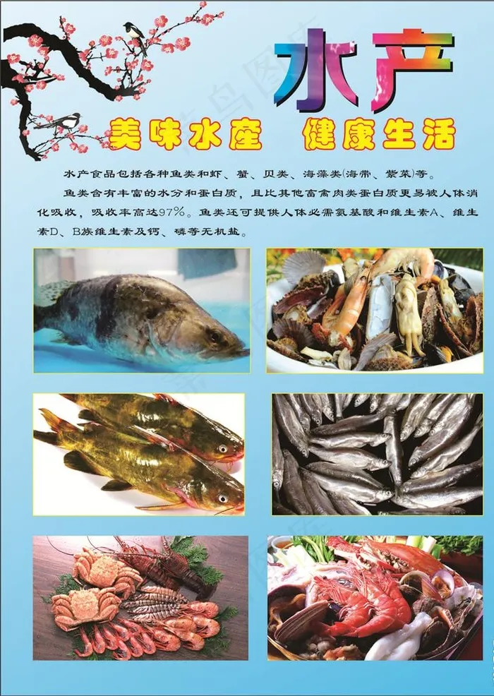 水产图片cdr矢量模版下载