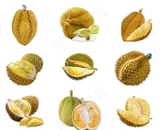 榴莲图片