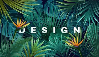 热带树叶水彩画背景图片