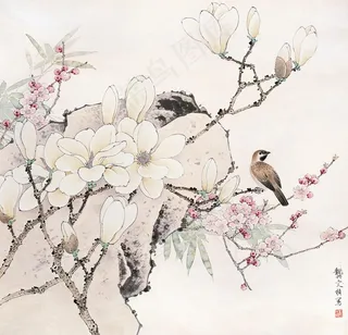 花鸟国画图片