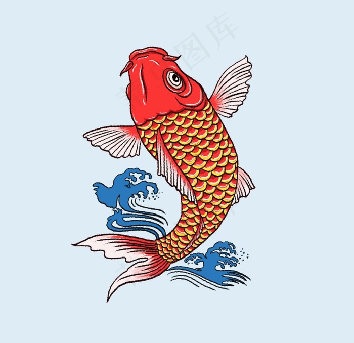红鲤鱼图片