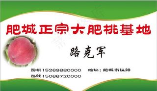 桃子名片图片
