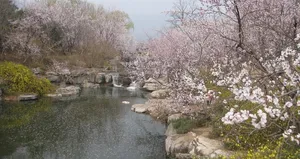 植物园风景图片