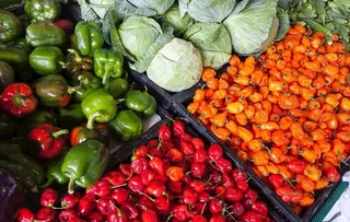 高清  有机 蔬菜 水果 菜苗图片