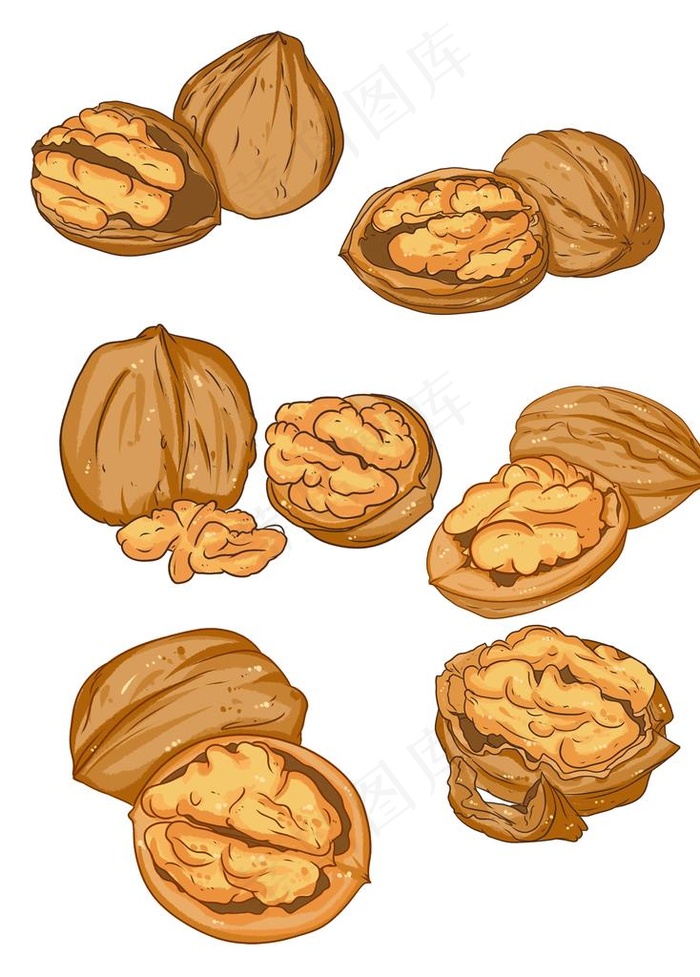 核桃元素图片