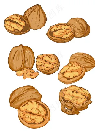 核桃元素图片