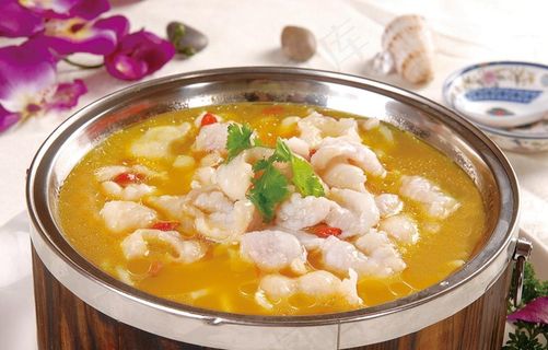 金汤长江徊鱼图片