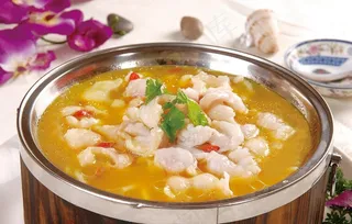 金汤长江徊鱼图片