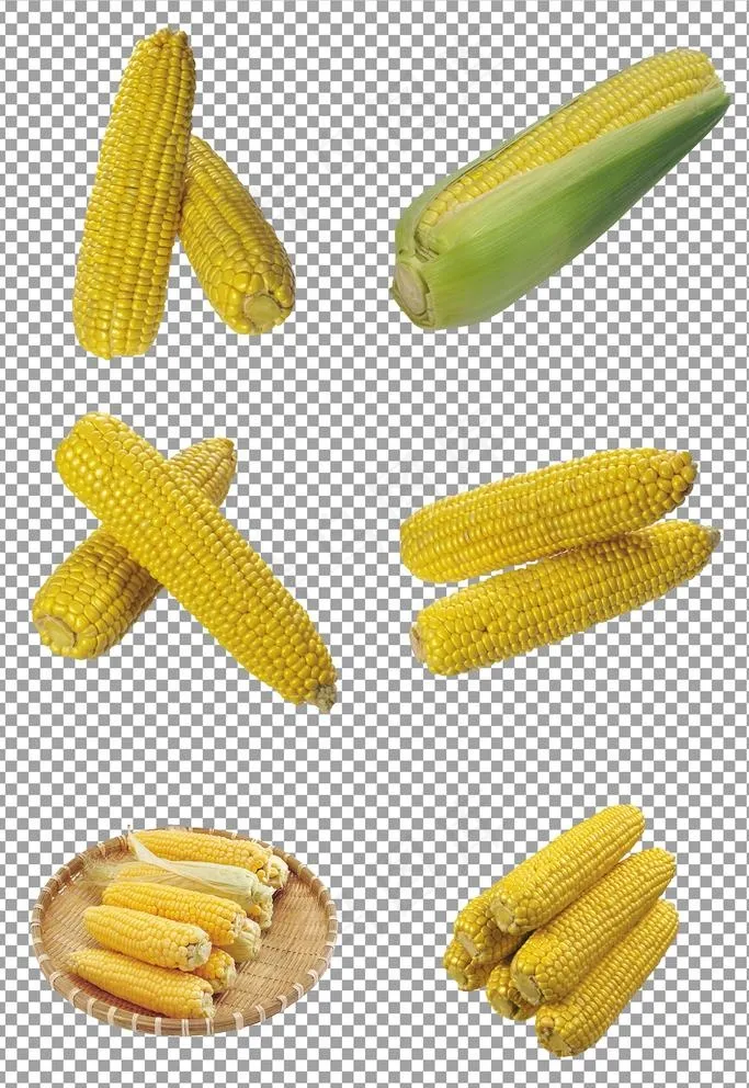营养玉米图片