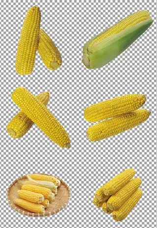 营养玉米图片