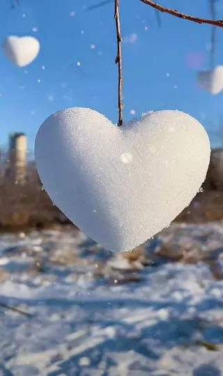 雪心图片