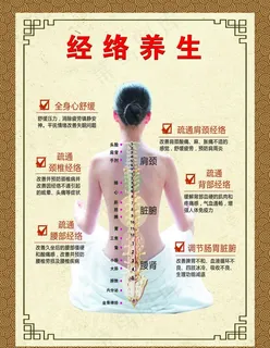 经络养生图片