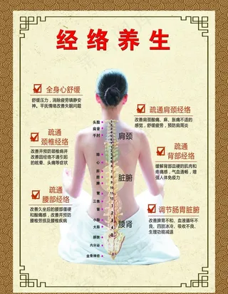 经络养生图片