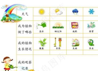 幼儿园植物观察记录表图片