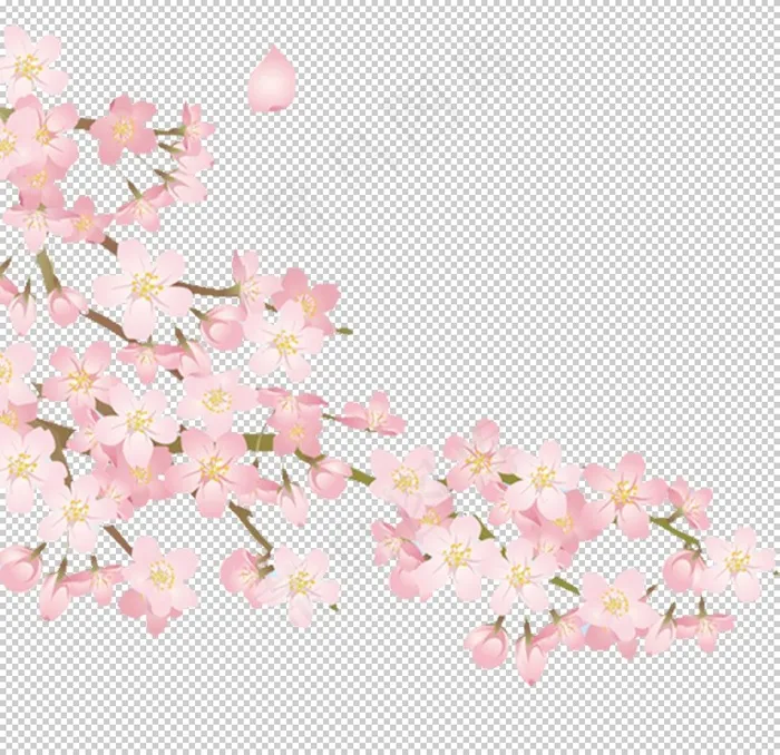 花图片