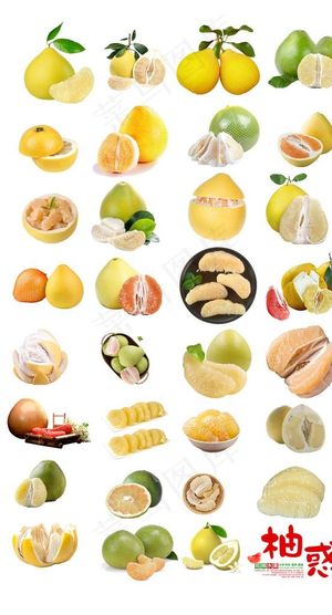 柚子图片