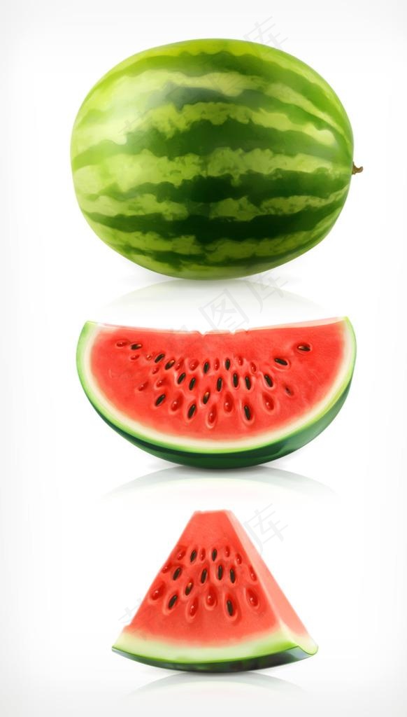 矢量西瓜图片