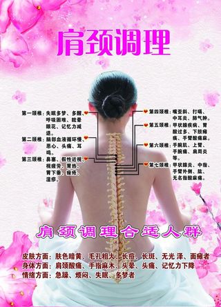 肩颈调理 养生保健图片