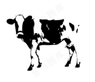 牛的线稿图图片