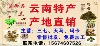 三七云南特产招牌图片