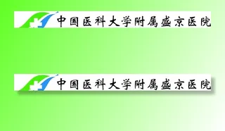 中国医科大学附属盛京医院标志图片