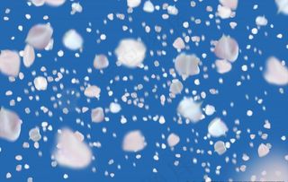 白色粉色飘落的花瓣影楼COS图片