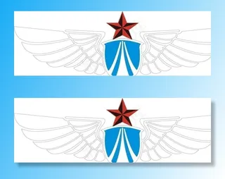 中国空军胸徽图片