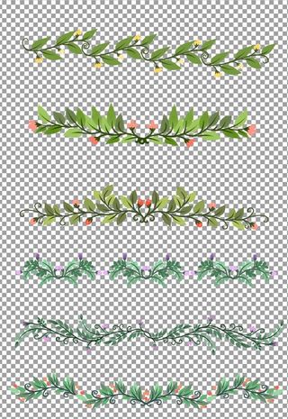 小清新花藤边框图片